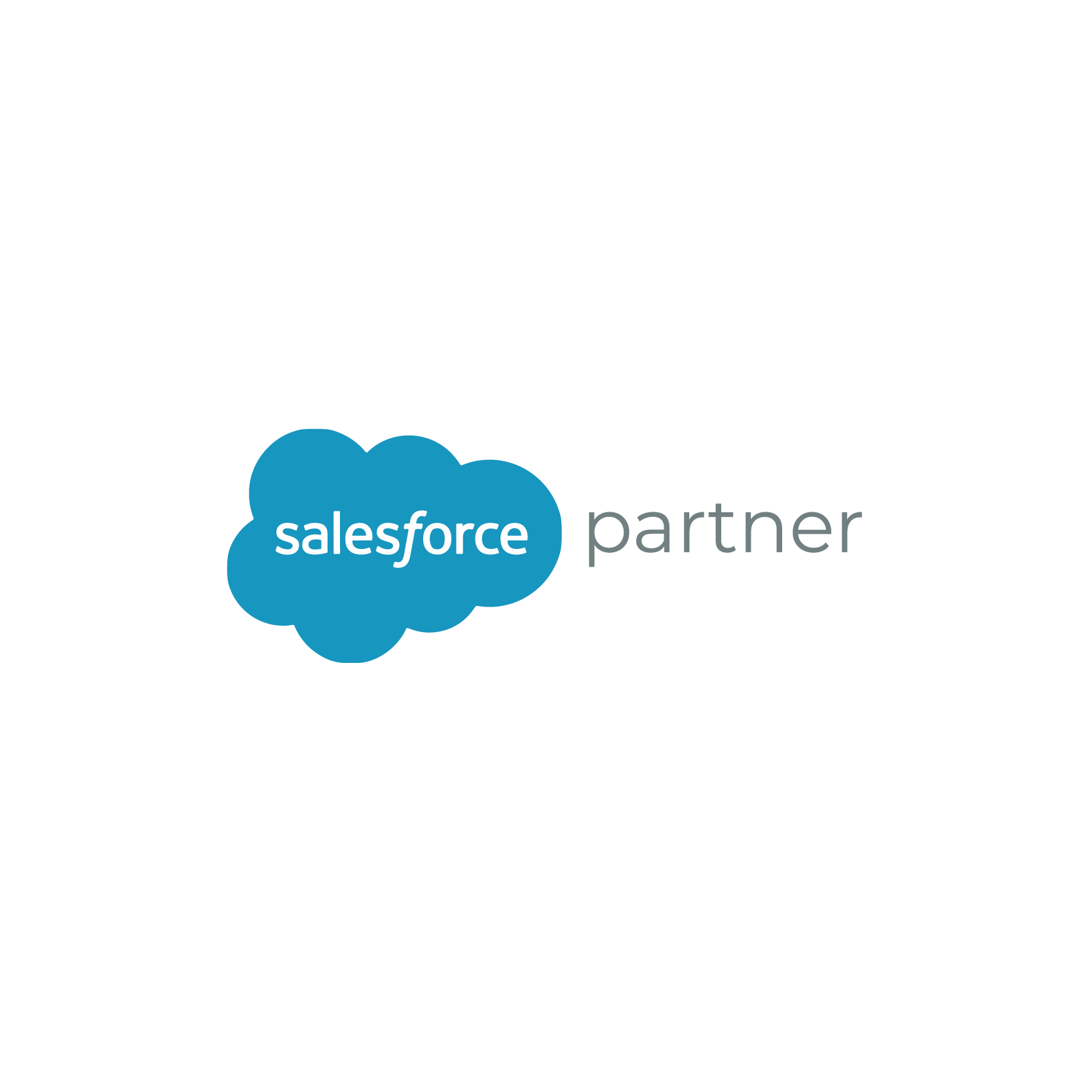 Salesforce certified partner